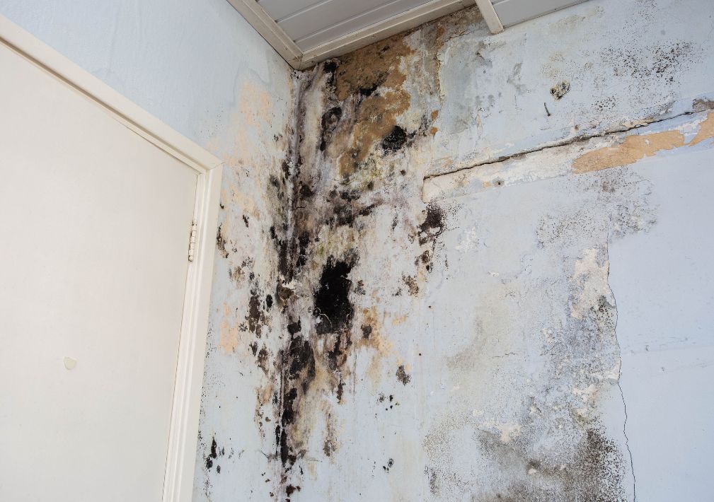 What Is The Average Cost Of Water Damage Restoration In Jonestown