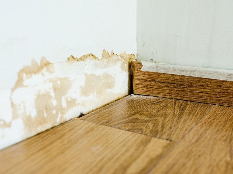 What Is The Average Cost Of Water Damage Restoration In Barton Creek Tx