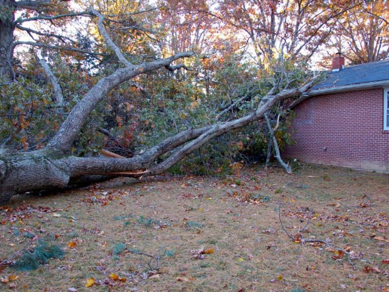 What Is The Average Cost Of Storm Damage Restoration In West Lake Hills