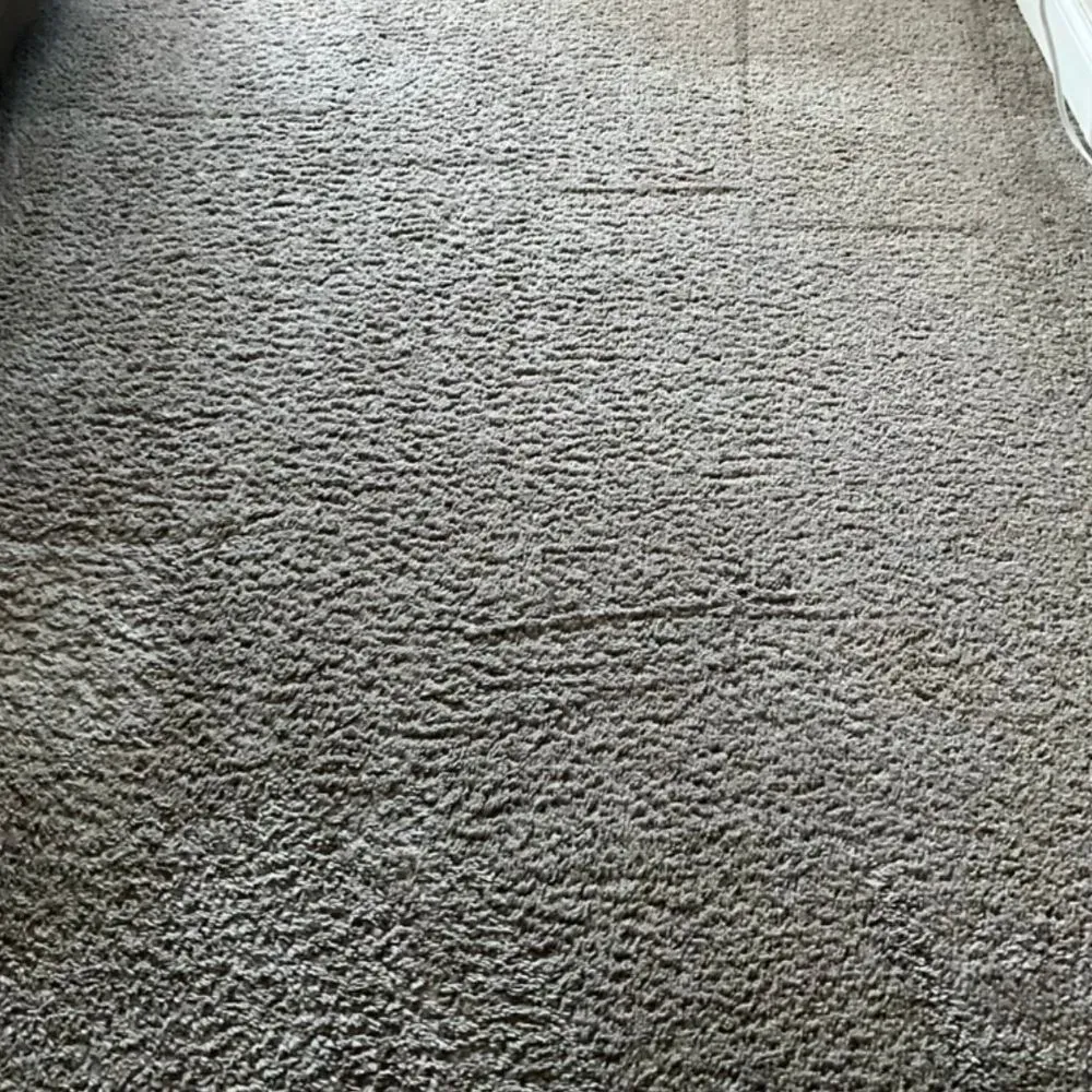 Carpet Cleaning Gallery 1