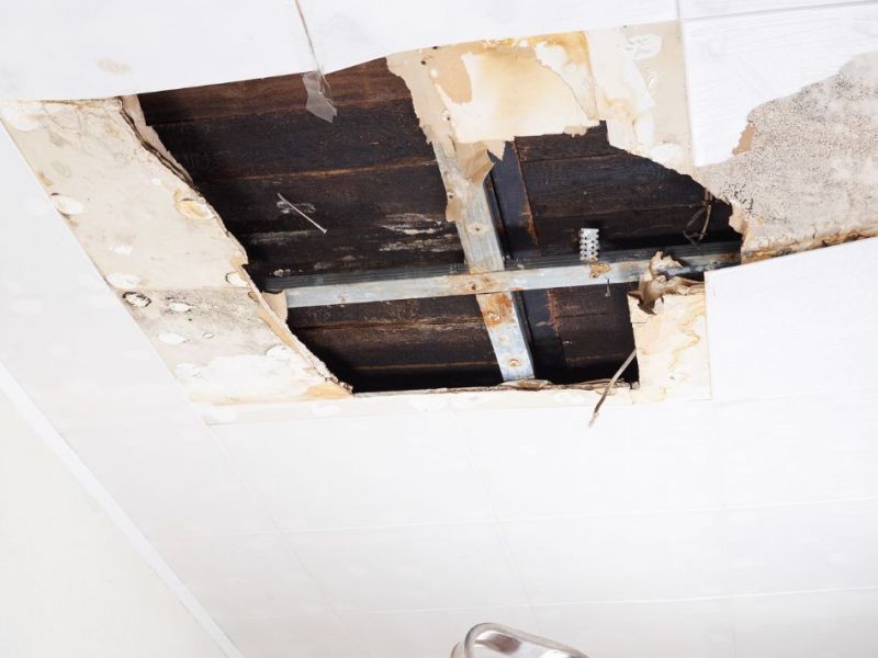 What Is The Average Cost Of Water Damage Restoration In Clegg Nc