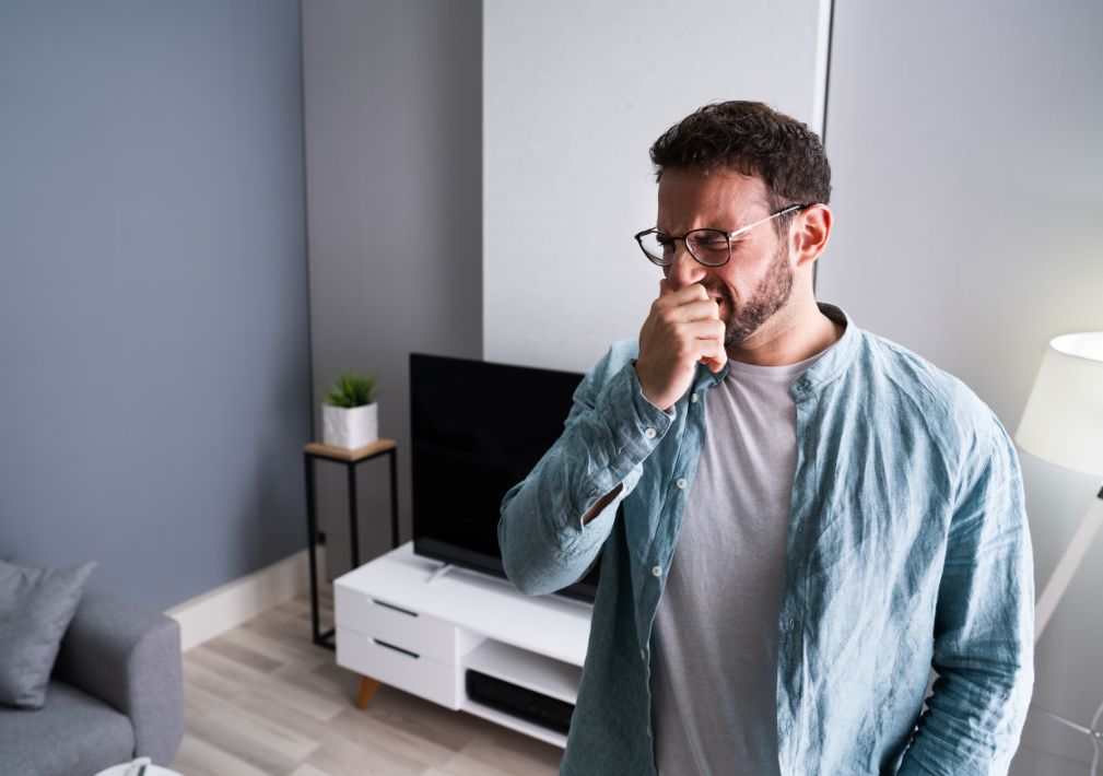 What Is The Average Cost Of Odor Removal In Cary Nc