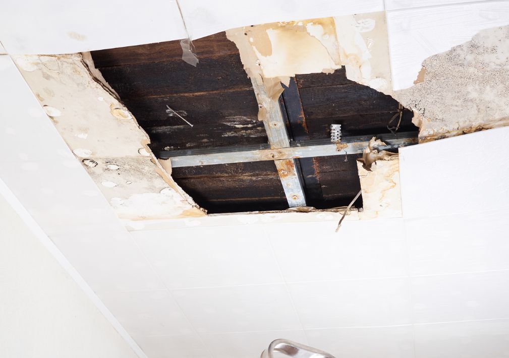 What Is The Average Cost Of Water Damage Restoration In Clegg Nc