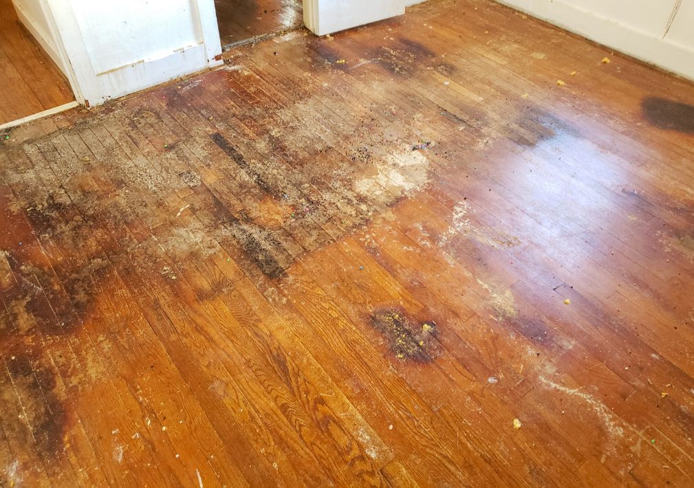 What Is The Average Cost Of Water Damage In Wilmington Nc