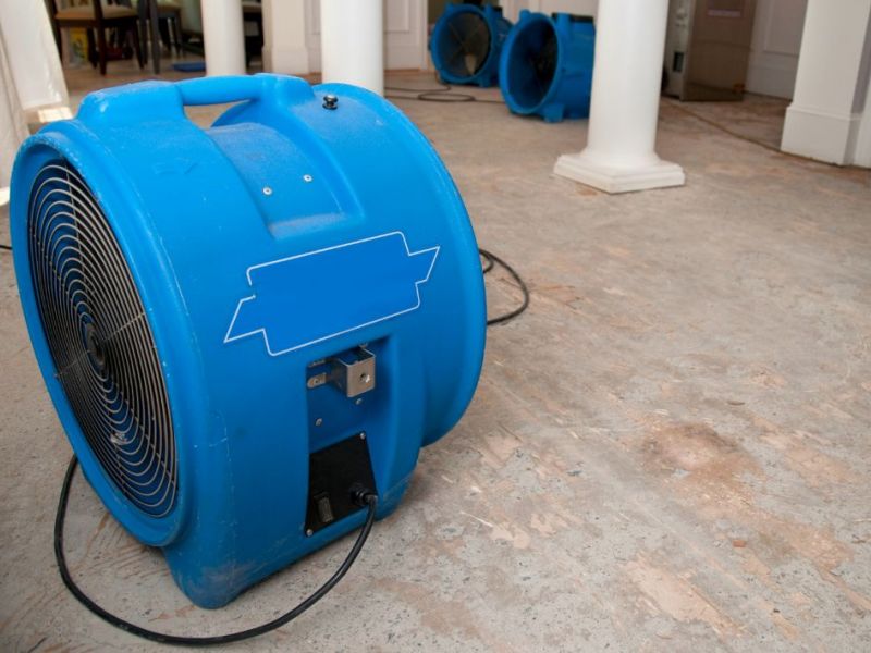 What Is The Average Cost Of Water Damage Restoration In Wallace Nc