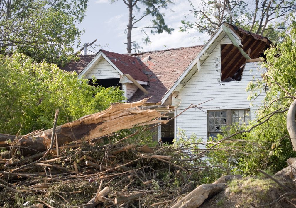 What Is The Average Cost Of Storm Damage Restoration In Raeford