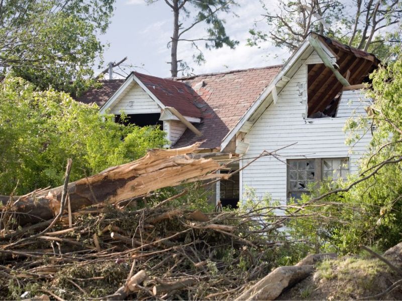 What Is The Average Cost Of Storm Damage Restoration In Raeford