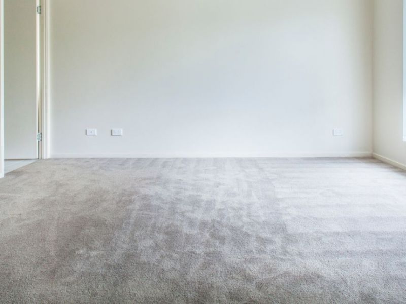 What Is The Average Cost Of Odor Removal In Carolina Beach Nc