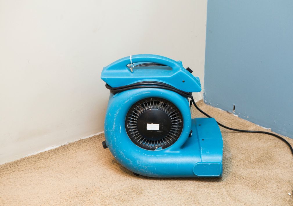 What Is The Average Cost Of Water Damage Restoration In Franklin Wi