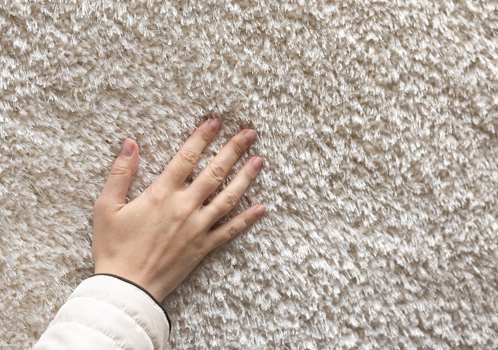 How Dirty Are Your Carpets Hidden Germs You Didnt Know About