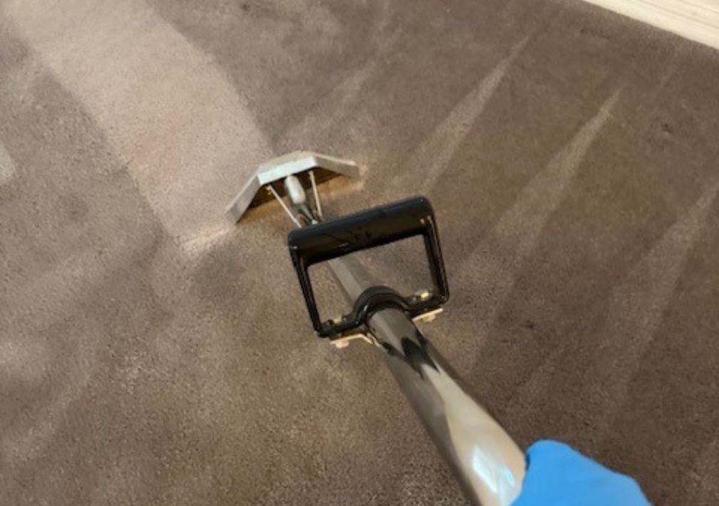 Steam Cleaning Vs Dry Carpet Cleaning Which Is Better For Your Home