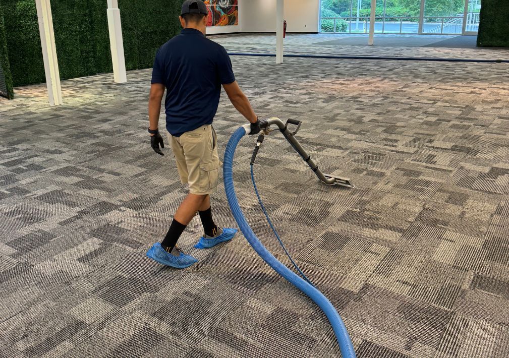 How Much Does Carpet Cleaning Cost?