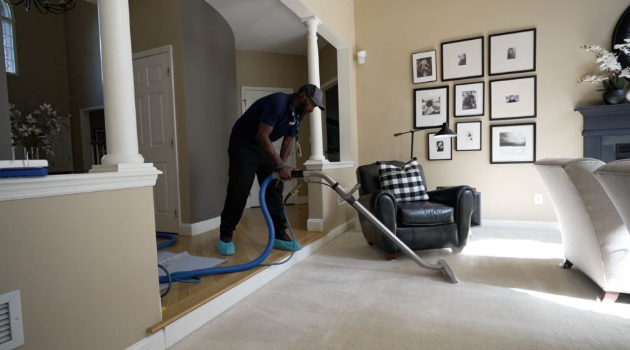 Hidden Allergens Lurking In Your Carpet And How Cleaning Removes Them