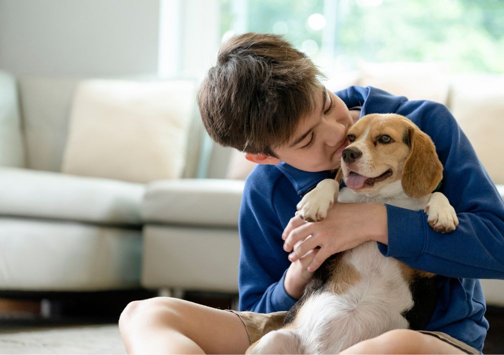 How Professional Odor Removal Works What Homeowners Should Know