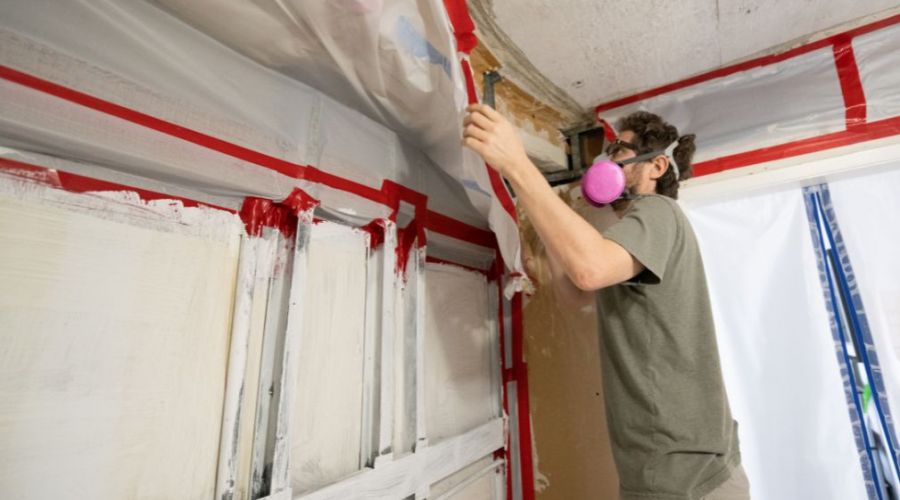Mold Remediation Vs Mold Removal Whats The Difference