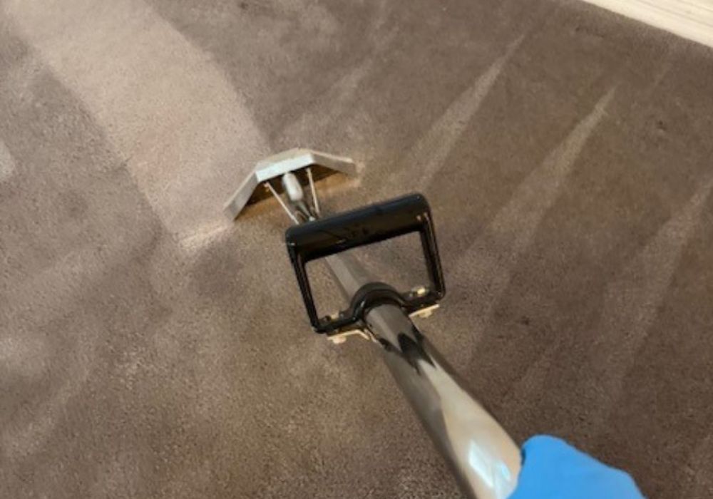 Steam Cleaning Vs Dry Carpet Cleaning Which Is Better For Your Home