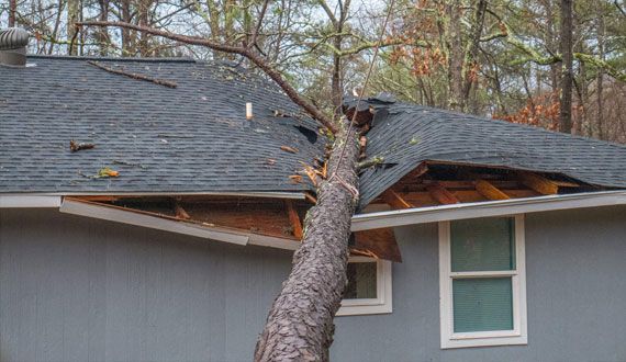 After The Flood What Homeowners Should Do To Fix Water Damage