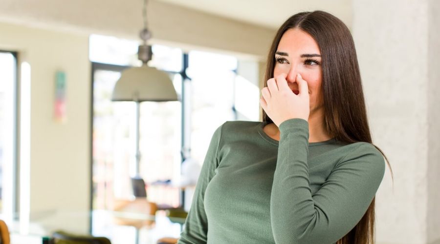 Why Household Deodorizers Dont Work For Persistent Odors