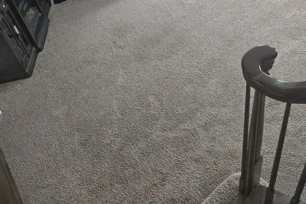 Carpet Duct Cleaning Charles Town Case Study
