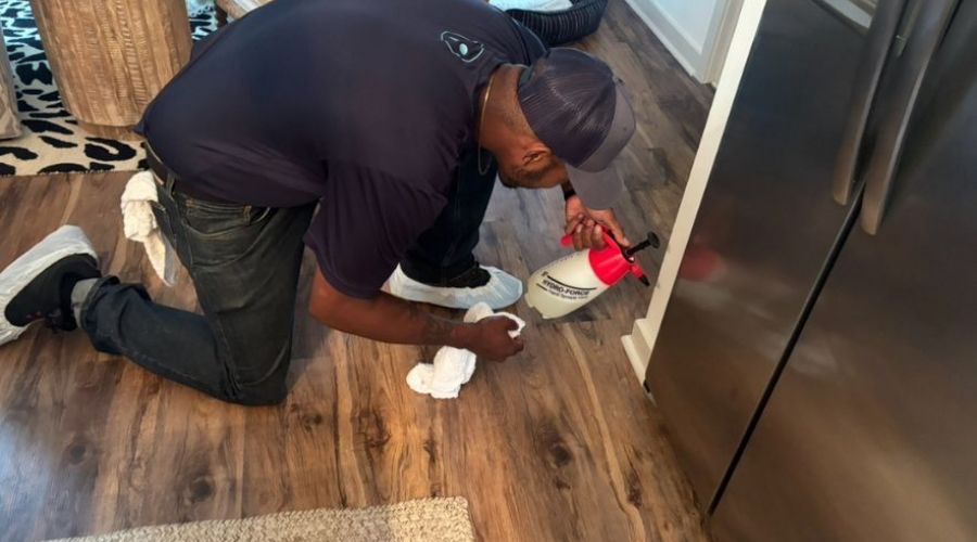 How Professional Odor Removal Works For Smoke Pets And Water Damage