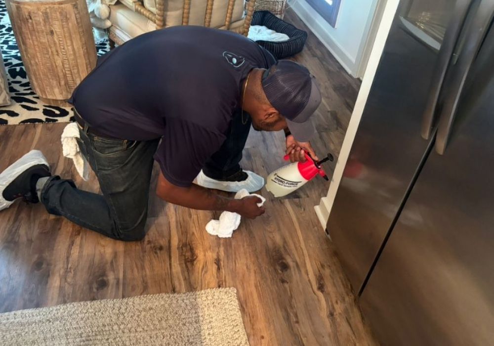 How Professional Odor Removal Works For Smoke Pets And Water Damage