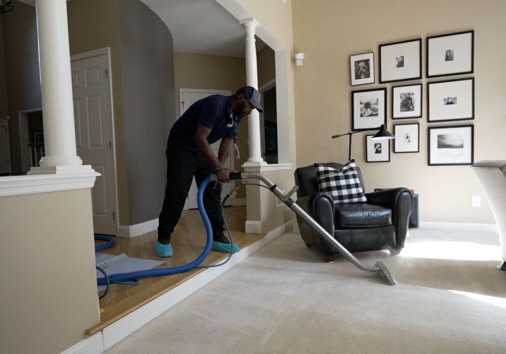 Hidden Allergens Lurking In Your Carpet And How Cleaning Removes Them