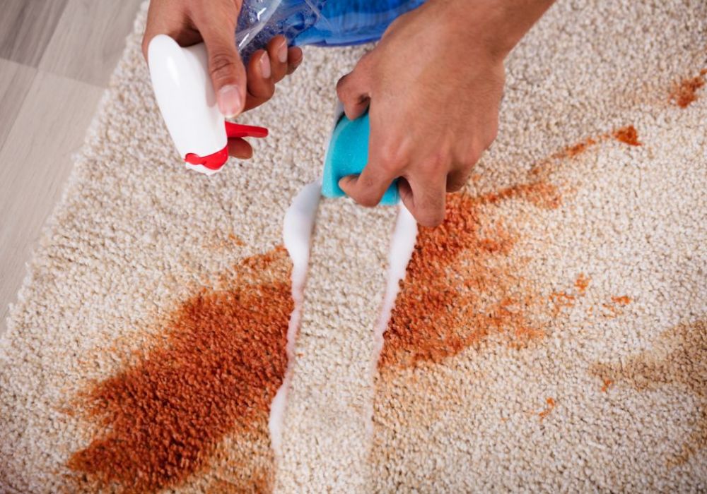 How Do I Get Blood Out Of Carpets