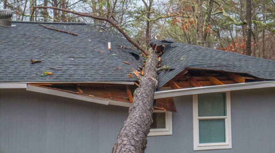 After The Flood What Homeowners Should Do To Fix Water Damage