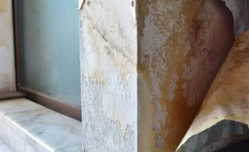 Early Signs Of Mold Growth Every Homeowner Should Watch For