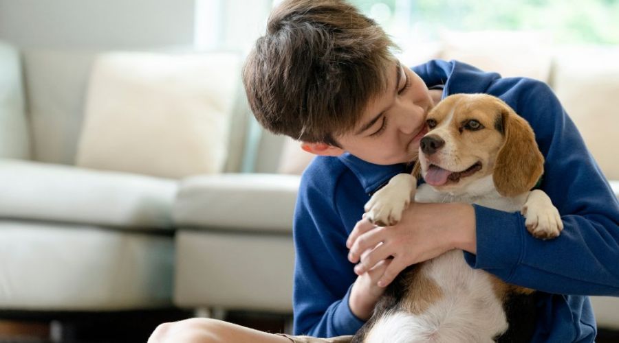 How Professional Odor Removal Works What Homeowners Should Know