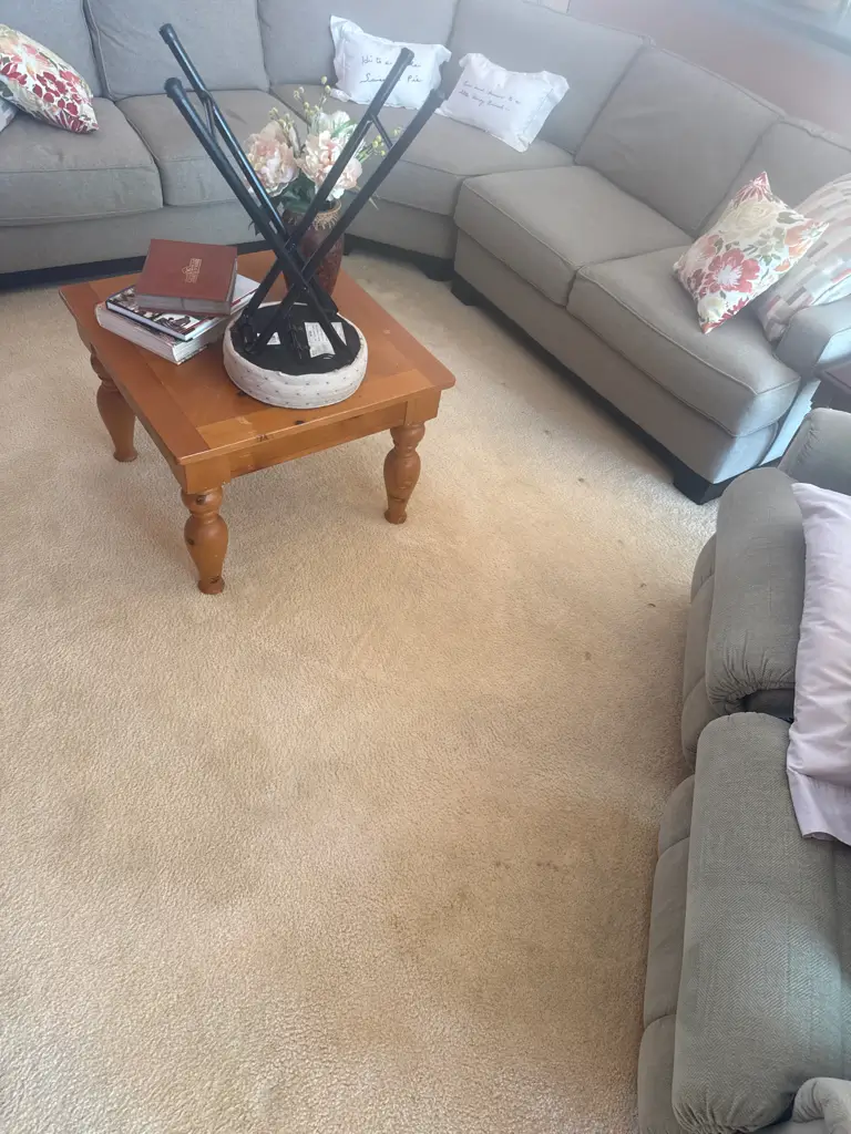 Persistent carpet spots before cleaning in a Venice, FL home