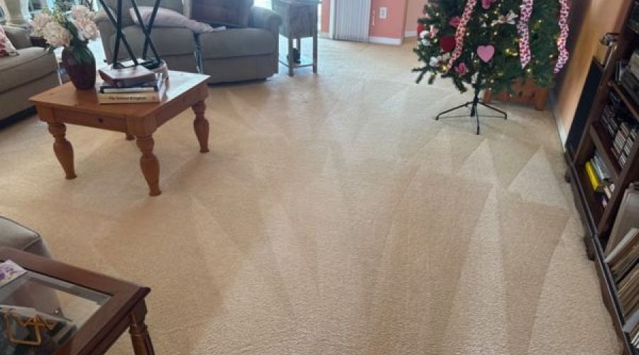 How Carpet Cleaning Helps Improve Indoor Air Quality Image