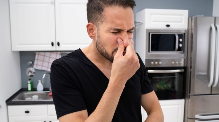 Why Does My House Smell Musty