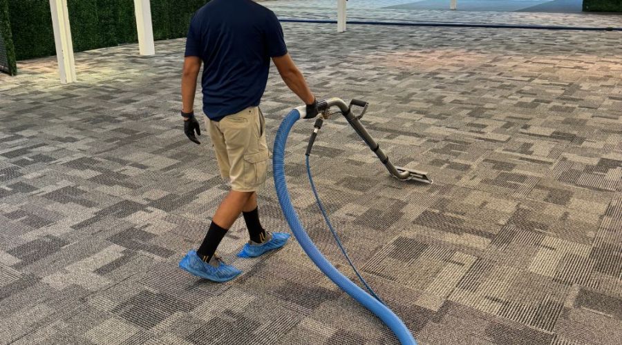 How Much Does Carpet Cleaning Cost?