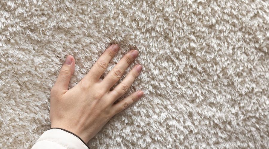 How Dirty Are Your Carpets Hidden Germs You Didnt Know About