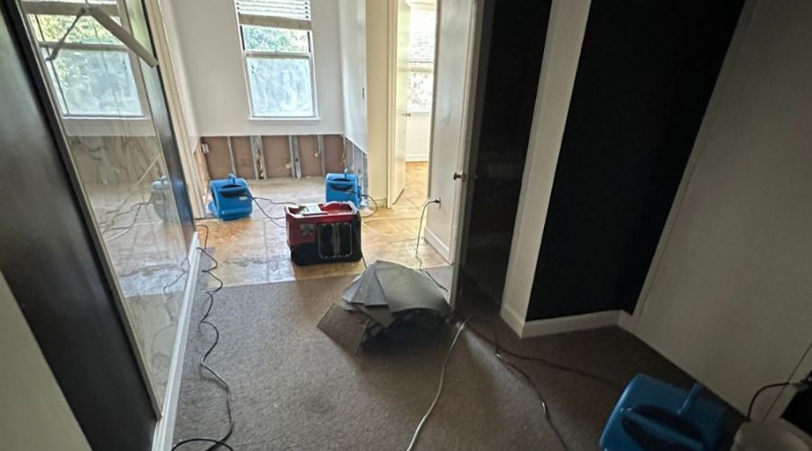 Water Mitigation vs. Restoration: What is the Difference?