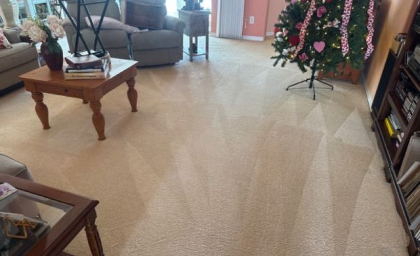 How Carpet Cleaning Helps Improve Indoor Air Quality Image